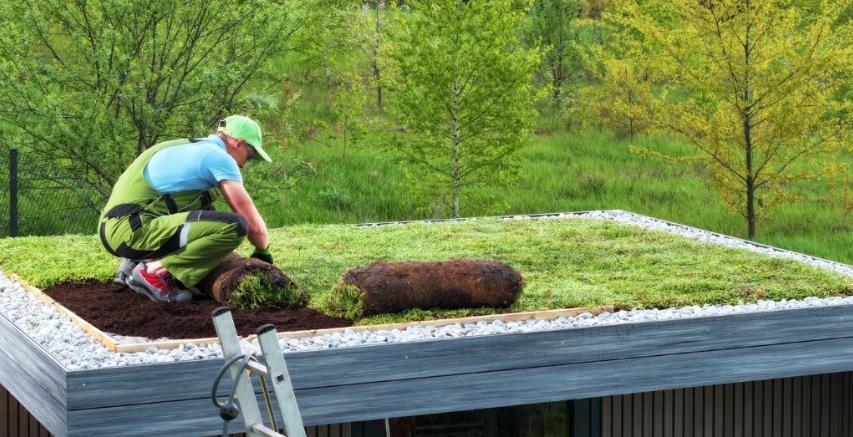 Green Roof Systems | Sustainable and Aesthetic Roofing Solutions