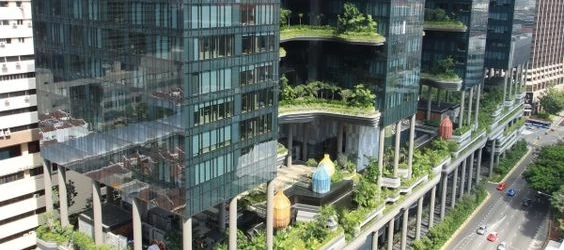 Doğanın İçinde Ama Şehirde; Yeşil Çatılı Binalar İçin Delta Floraxx